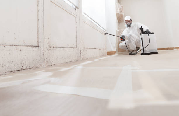 24/7 Emergency Mold Removal experts in Bedminster, NJ
