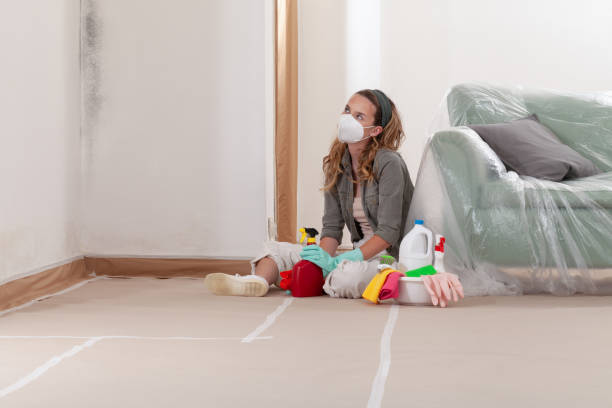 Reliable Mold Removal contractor in Bedminster, NJ by 24 Hour Mold Removal